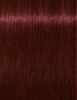 IGORA COLOR10 4-88 Medium Brown Red Extra 60 ml