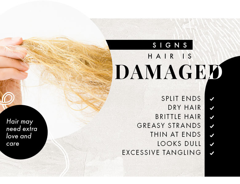 signs hair is damaged