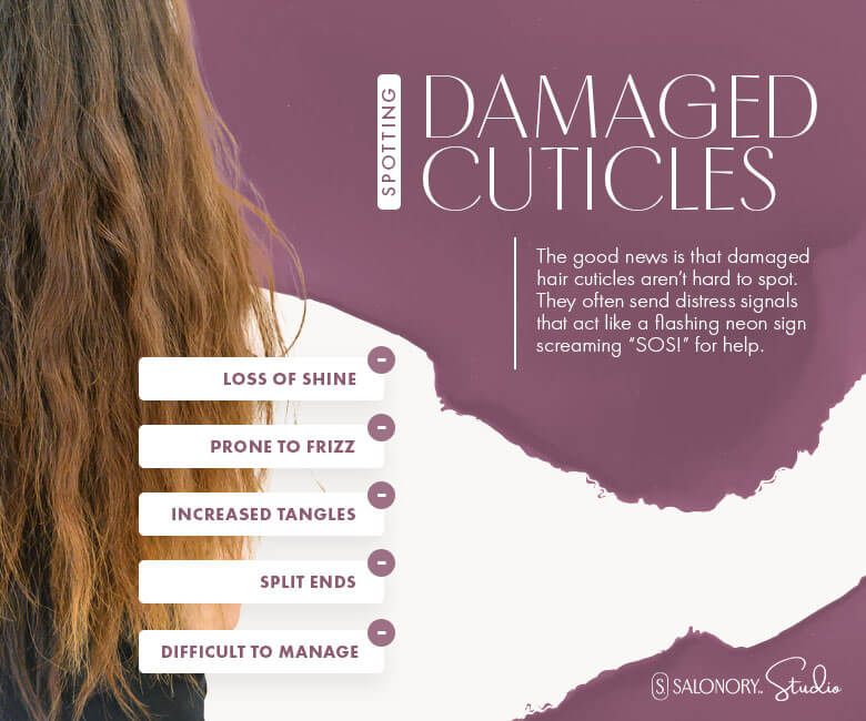 How to Spot Damaged Hair Cuticles